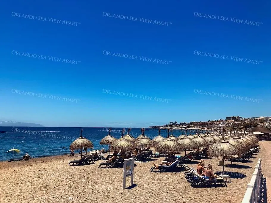 Orlando Pool View And Cozy Terrace Apartment Costa Adeje   Costa Adeje (Tenerife)